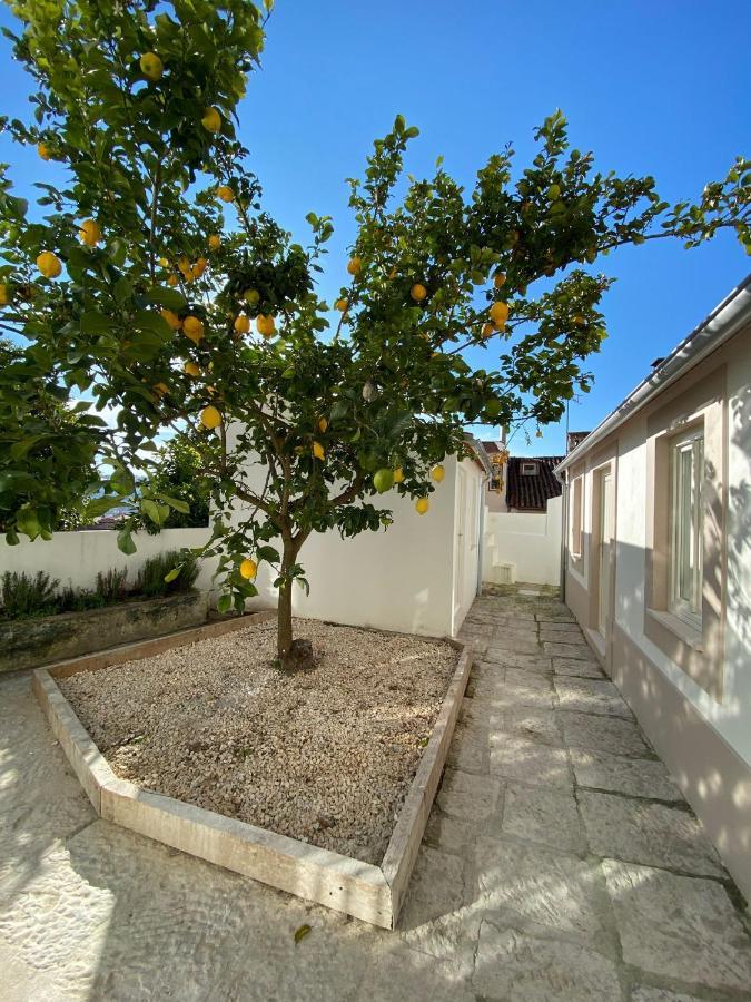 Sé Velha studios Coímbra Exterior foto
